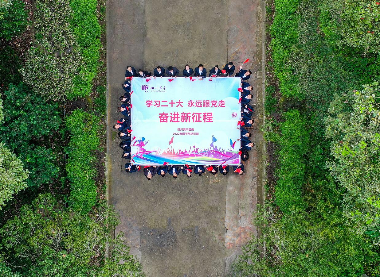 公司团委举办团干培训班