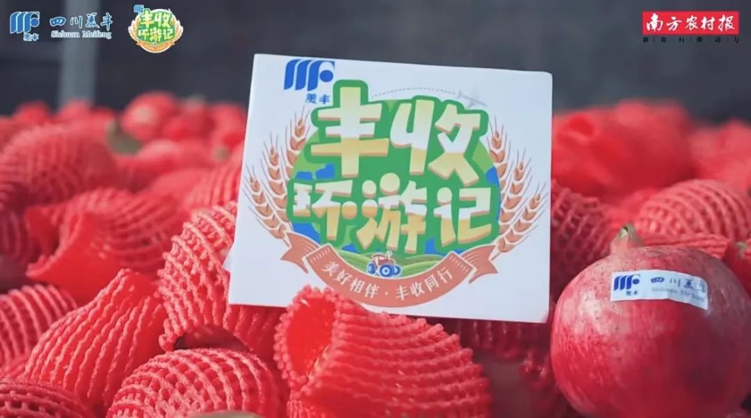 南方农村报：感受美丰比利夫造就的红色浪漫