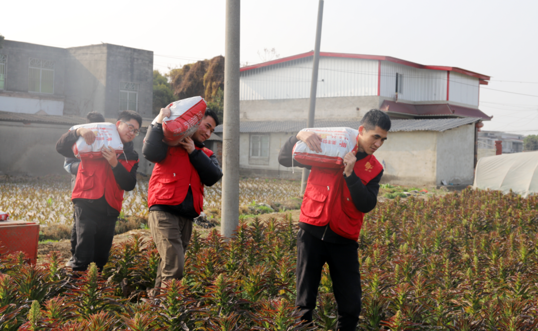 中国化肥网：每一粒美丰肥都是丰收的承诺