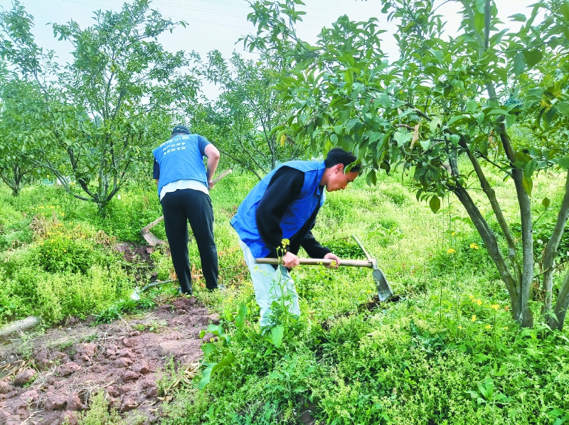 南充日报：硕士研究生常驻南部柑橘科技小院