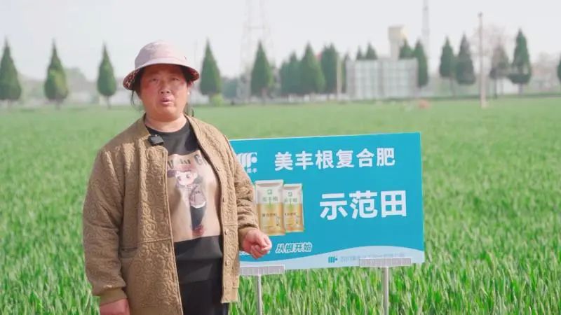 南方农村报：携手美丰，细谈关中平原的丰收故事