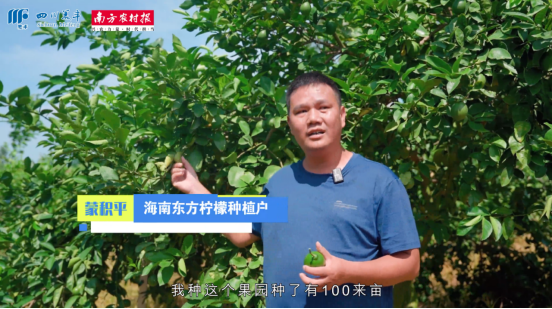南方农村报：美丰为海南水果带来充足“养分”