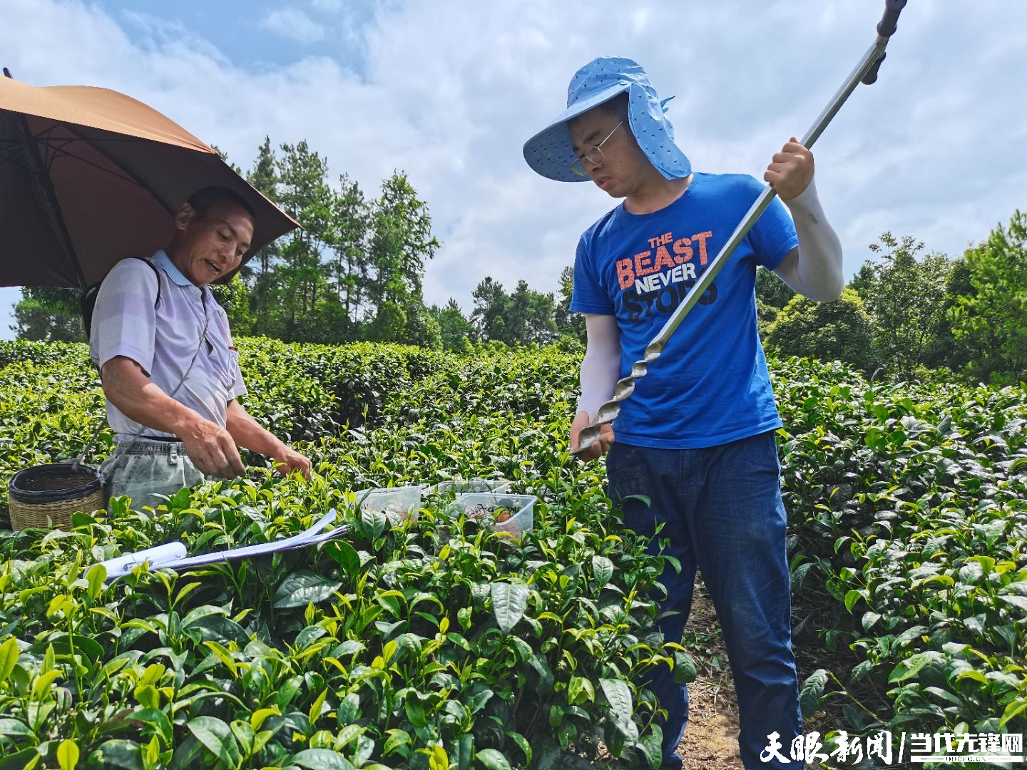 遵义日报：湄潭茶叶科技小院在乡村振兴的大舞台上建功立业