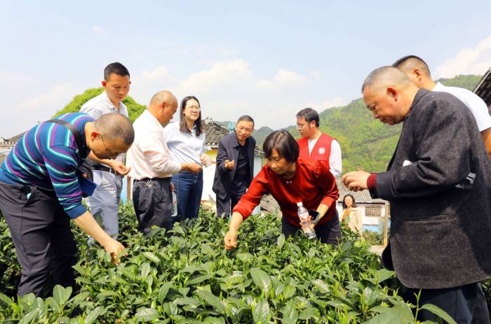 四川经济网：建设科技小院  四川美丰助力乡村振兴