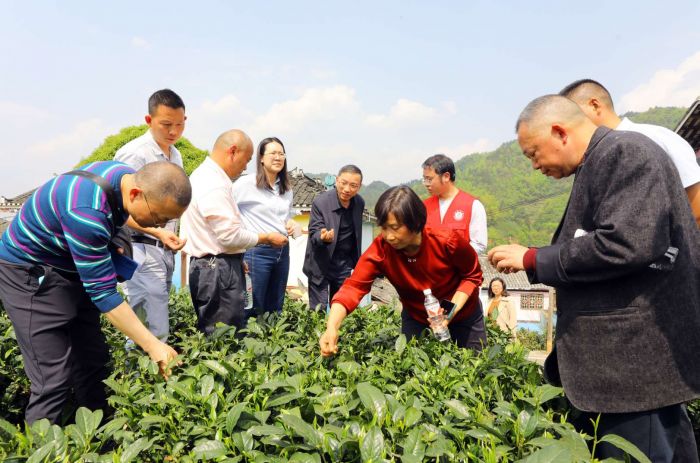 四川经济网：建设科技小院  四川美丰助力乡村振兴