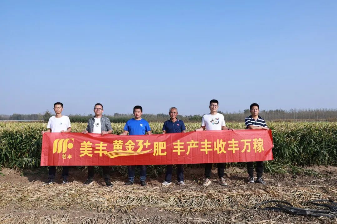 南方农村报：美丰助力齐鲁大地农产品名牌更加闪亮