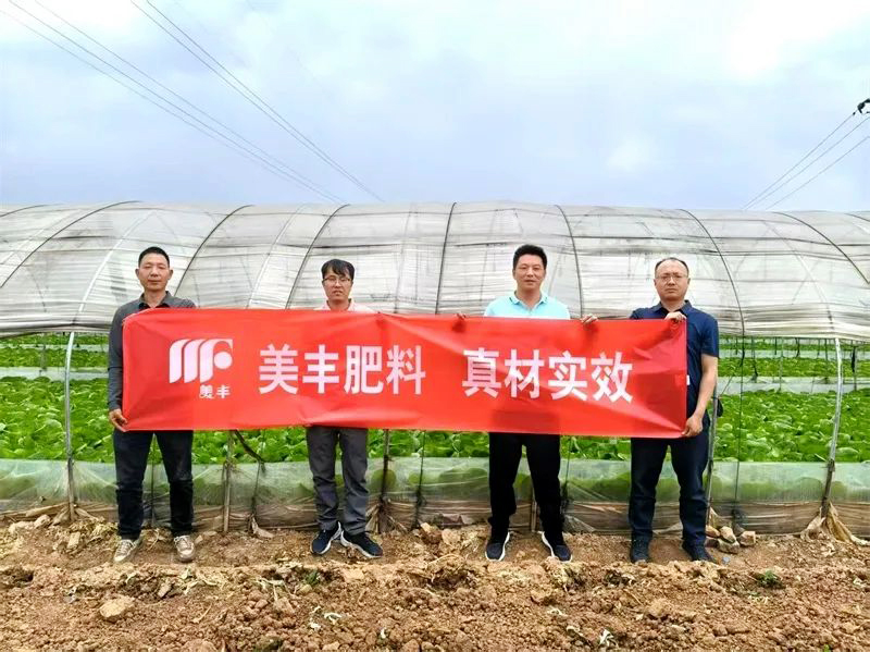 白菜用了黄金3+金2代之后……