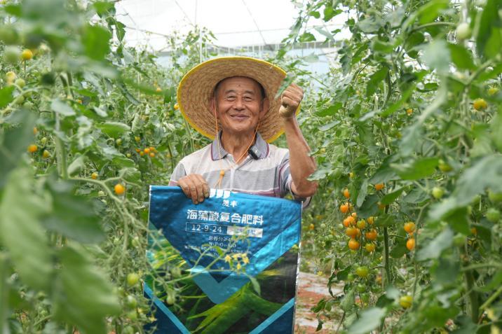 川观新闻：科学施肥促增收  助力瓜果飘香
